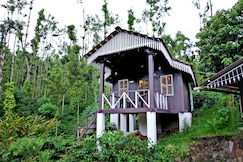Jungle Greens Homestay | Located Amidst the Lush Coffee Plantation, Chikmagalur