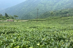 Bhagirath Homestay., Mirik