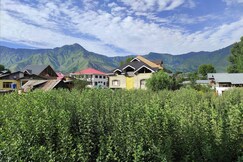 Shami Homestay - Entire 3BR Villa, Srinagar