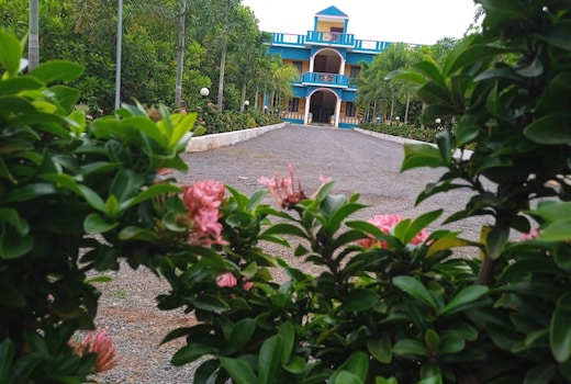 Paradise Forest Resort