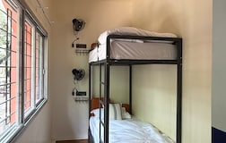 Dormitory Beds