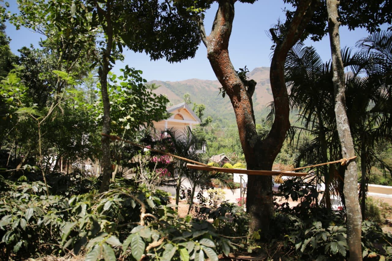 CoffeeCounty Homestay - Tap to explore photos