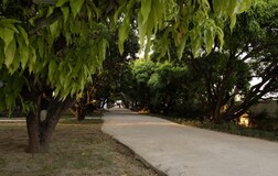 Outdoors