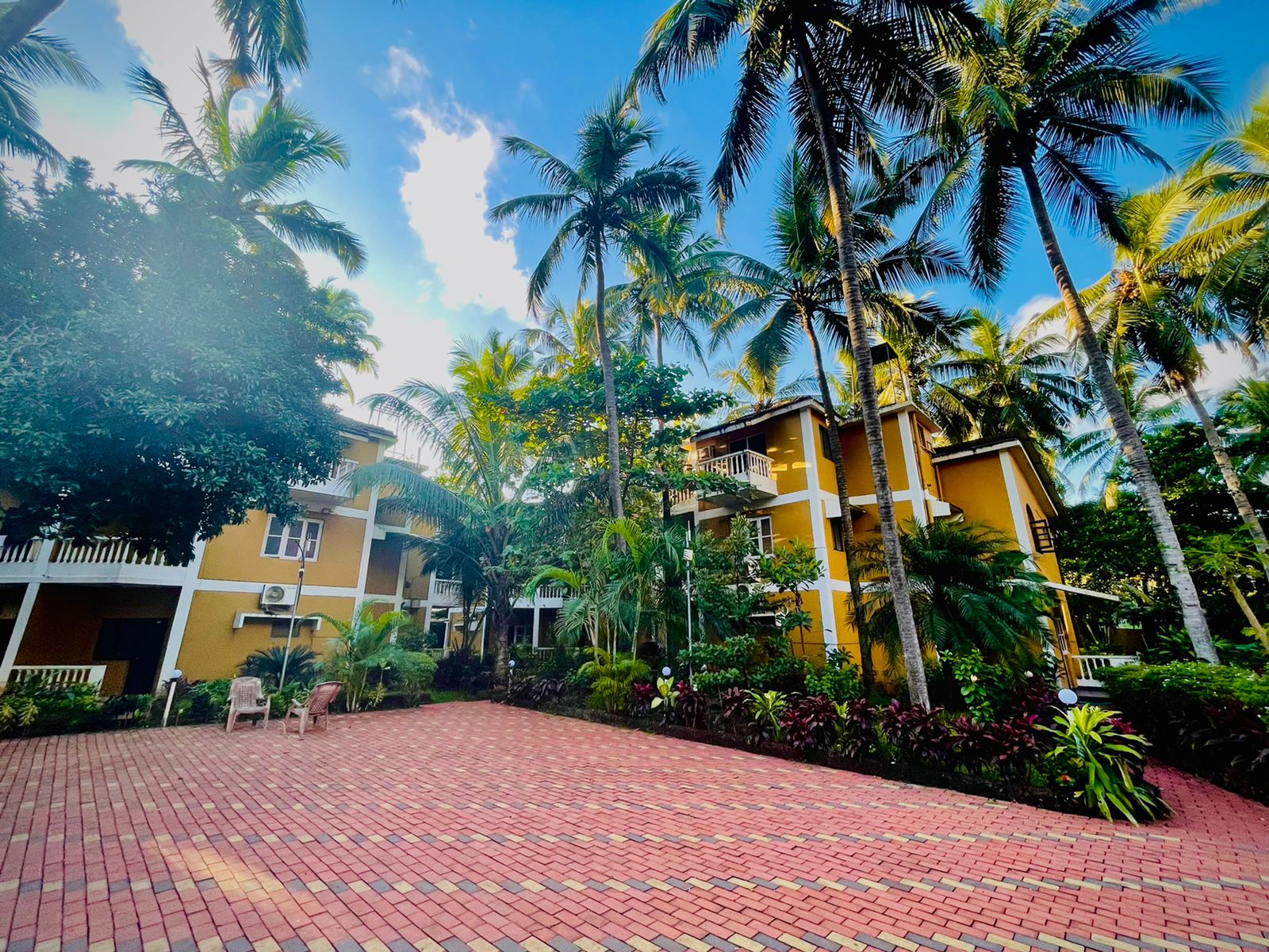 Lushy Days Palm Resort Goa - Tap to explore photos