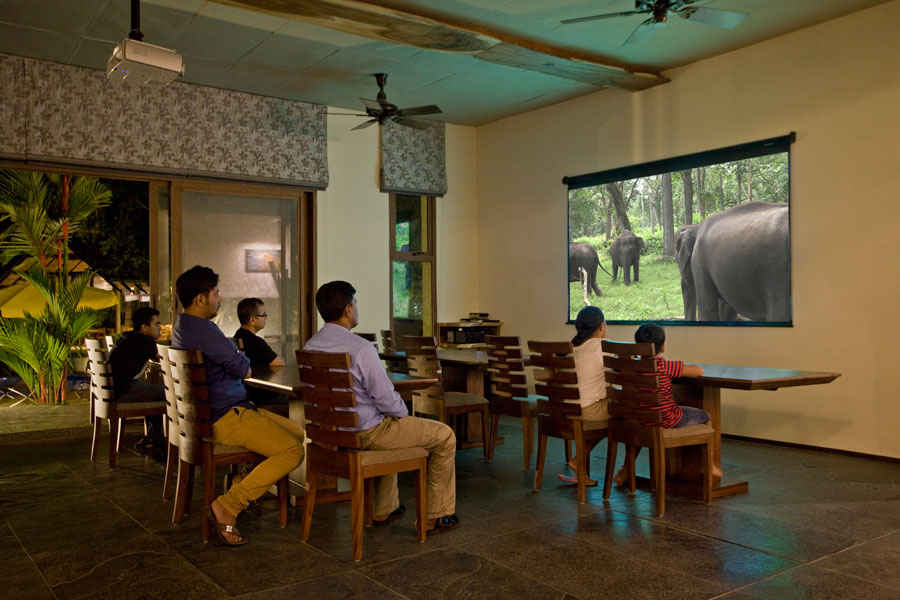 Wildlife Documentary Shows