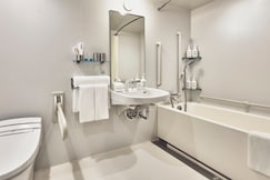 Holiday Inn Express OSAKA CITY CENTRE - MIDOSUJI, Osaka