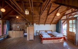 Mountain View Room