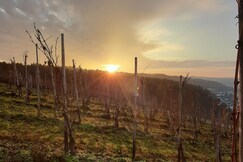 Holiday Inn Express Trier, Trier