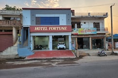 Hotel Fortune Dadri, Narnaul