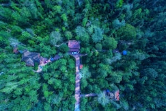 HUMBLE NEST RESORT Coorg, Coorg