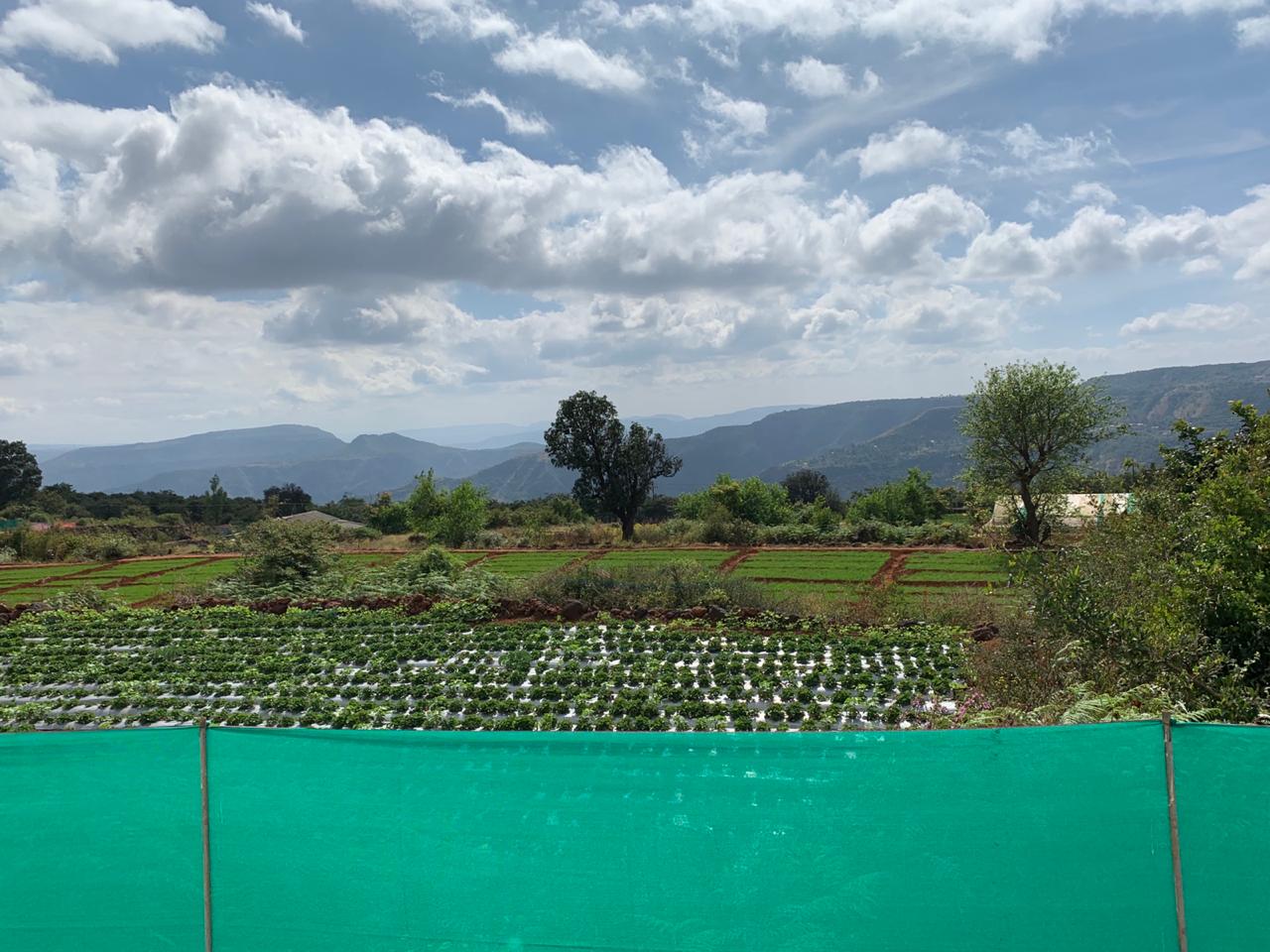 Mauli Agro Toursim - Tap to explore photos