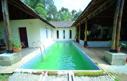 Swimming Pool 1