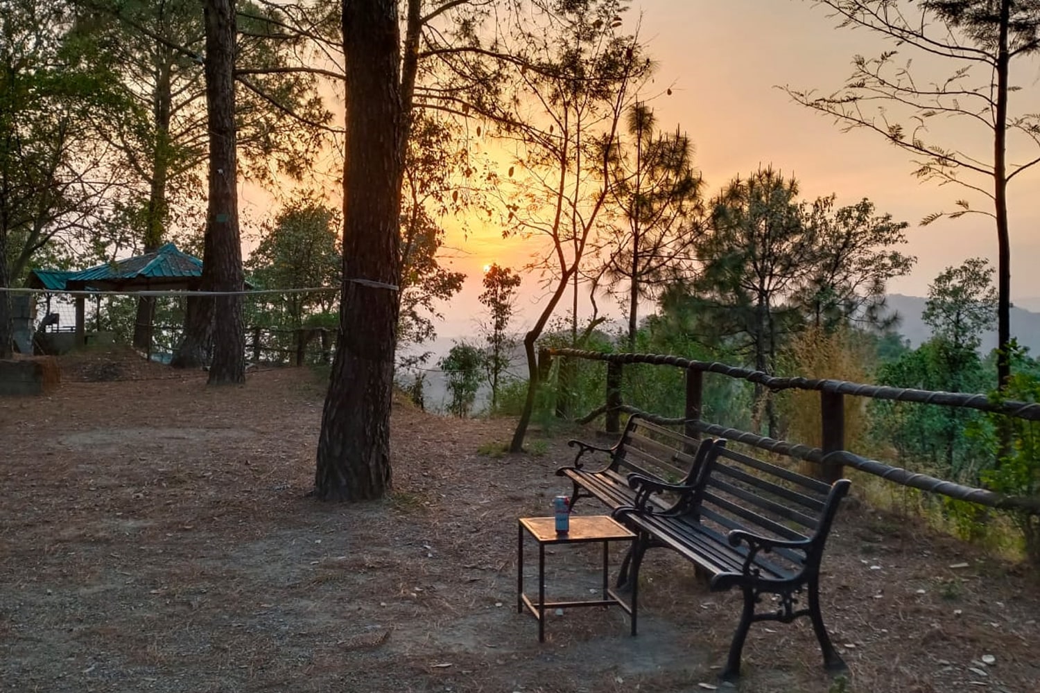 Pinewood Nirvana Jungle Resort, Shoghi - Tap to explore photos