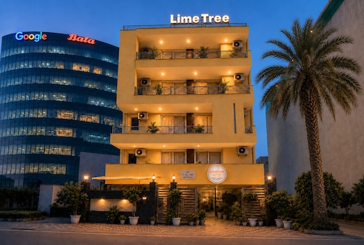 Lime Tree @32nd Avenue/Sector 29