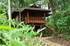 Trekking Trails, Wayanad