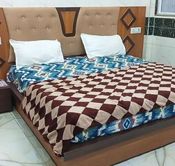 Deluxe AC Luxury Double Bedroom