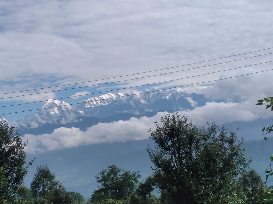 Bachy Homestay - Tap to explore photos
