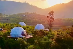 LT Nature Glamps, Kodaikanal