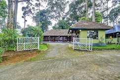 Misty D Silver, Munnar