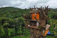 Blue Bells Resort, Wayanad