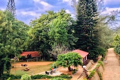 Zeenath Taj Gardens, Yelagiri