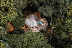 Lannawild, Chiang Mai