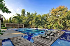 The Celebration Van Vilas Kanha, Bichhiya