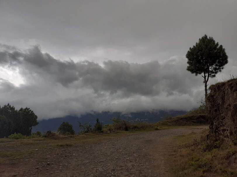 The Himalayan Recluse - Tap to explore photos