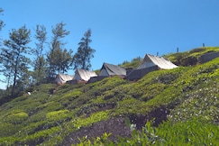 Janardan Resort Ooty, Ooty
