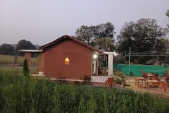 Blueberry homestay, Betul