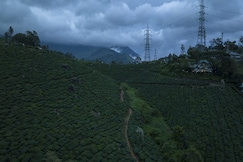 Serene Biovalley Munnar, Munnar