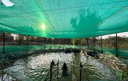 Swimming Pool 1