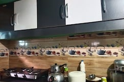 MOUNTAIN RIVER VIEW HOMESTAY , Nichar