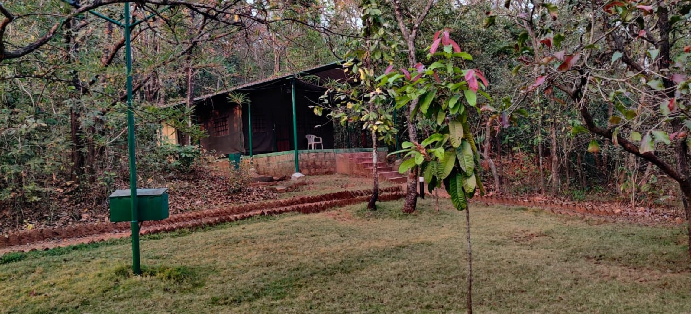 Hemmadaga Nature Camp by Jungle Lodges - Tap to explore photos