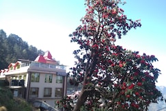 THE GRAND MADHUSHALA, Shimla