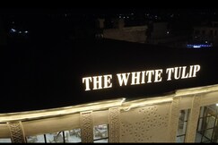The White Tulip, Hansi