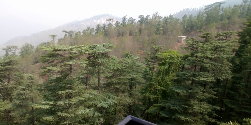 Thakur Home Stay - Tap to explore photos