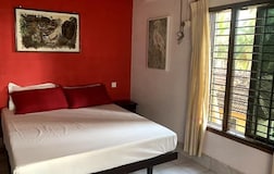 1 Double Bed Room