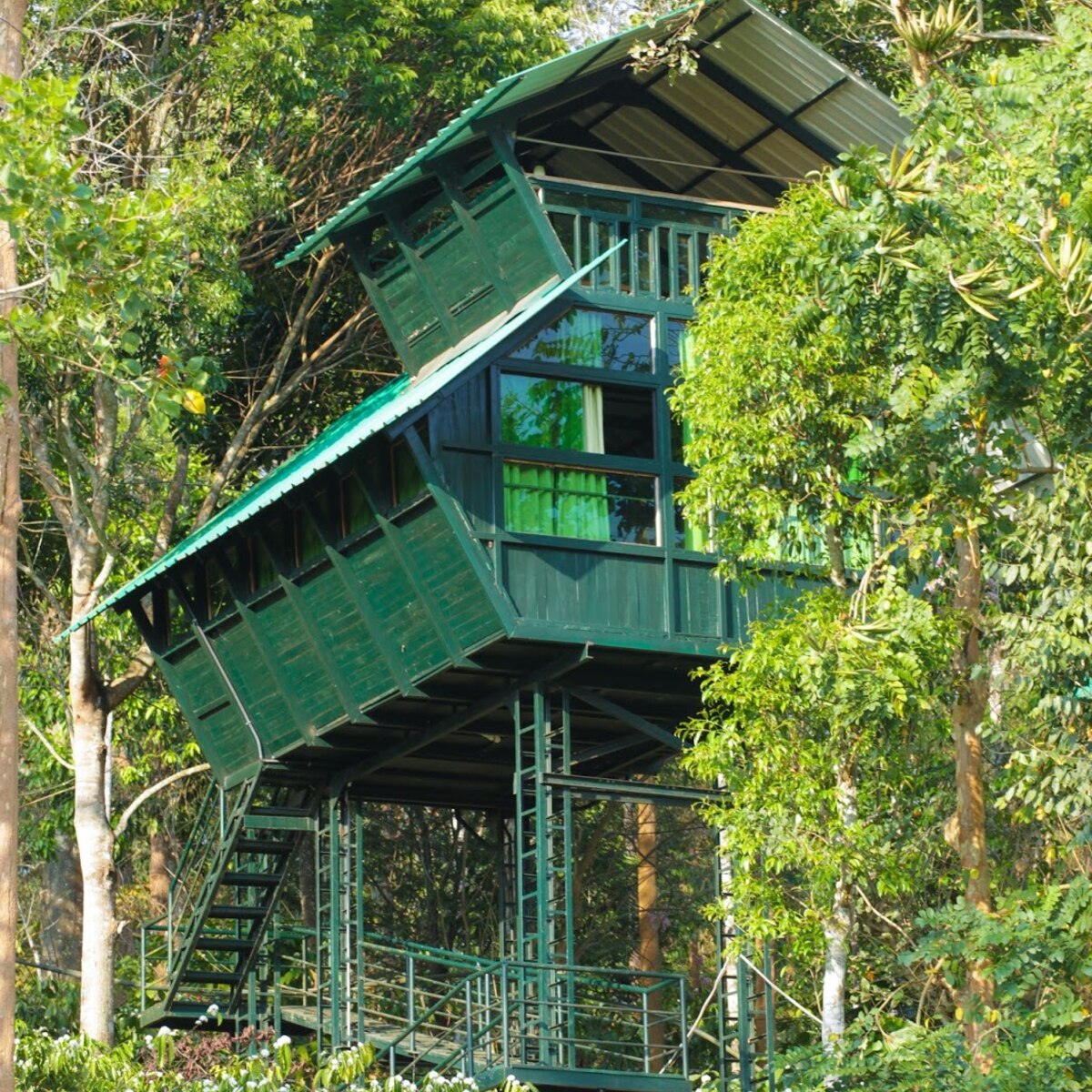 Forest inn tree house - Tap to explore photos