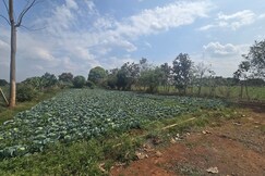Premium Nature Farm Retreat with Modern Comforts, Belgaum