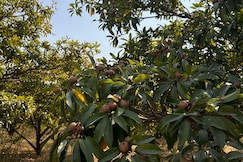 PN Farm Villa, Bhuvanagri