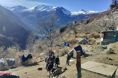 Old jungle valley homestay & cafe, Tosh