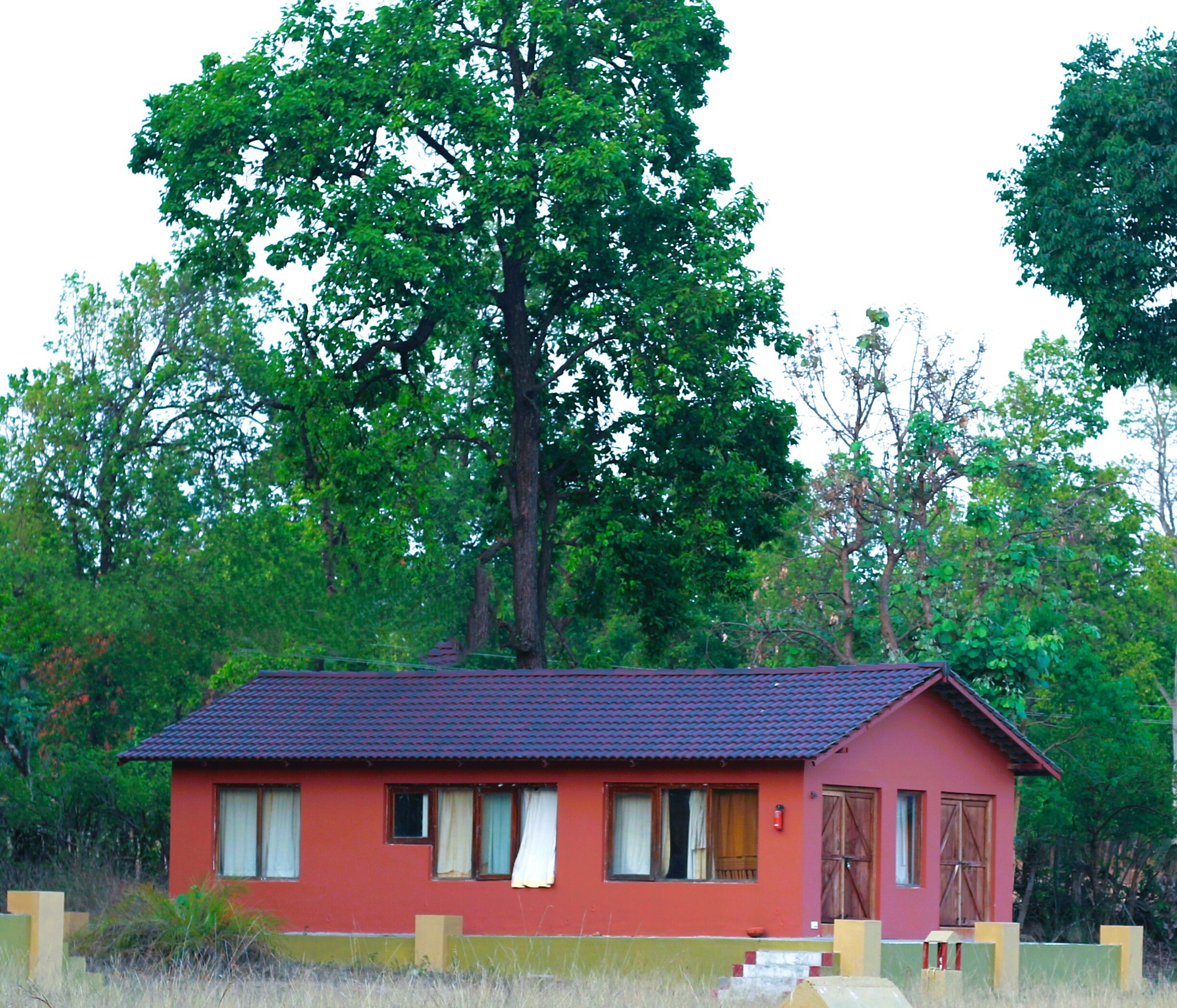 ATULYA KANCHI CAMP - Tap to explore photos