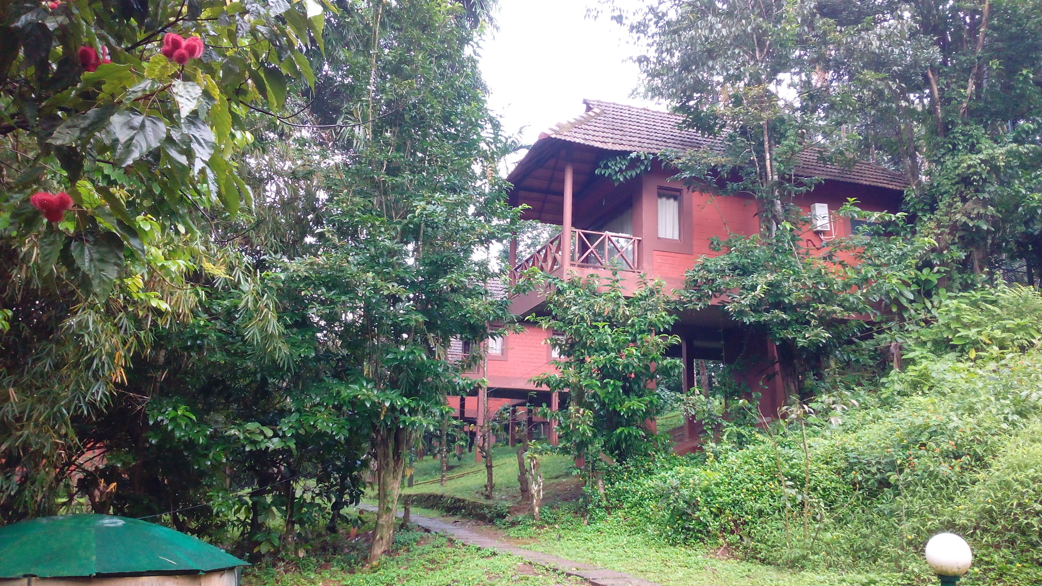 Stream Valley Cottages Wayanad Inr 539 Off 3 5 0 0 Resort