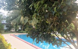 Swimming Pool 1