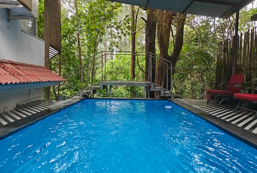 Limon at The Pause Project