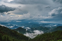 Pine Ville BnB, Shimla