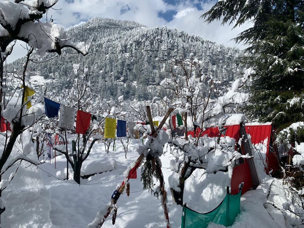Hotel O MANALI CAMP - Tap to explore photos