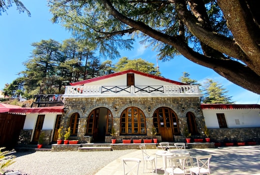 Devdar Woods | An LVB Experience | Landour's Heart