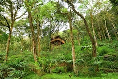 Soma Seven Springs Plantation Resort, Munnar